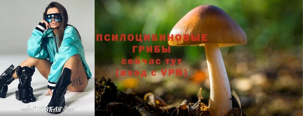 марки nbome Арсеньев