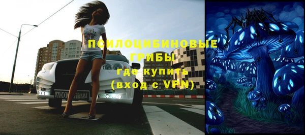 дживик Аркадак