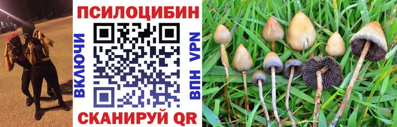 наркотики  Спас-Клепики  darknet клад  Псилоцибиновые грибы MAGIC MUSHROOMS 
